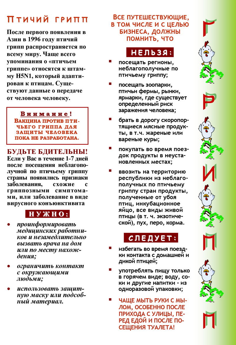 Осторожно, птичий грипп! Памятка путешественнику. 2023 Осторожно, птичий грипп! Памятка путешественнику. 2023