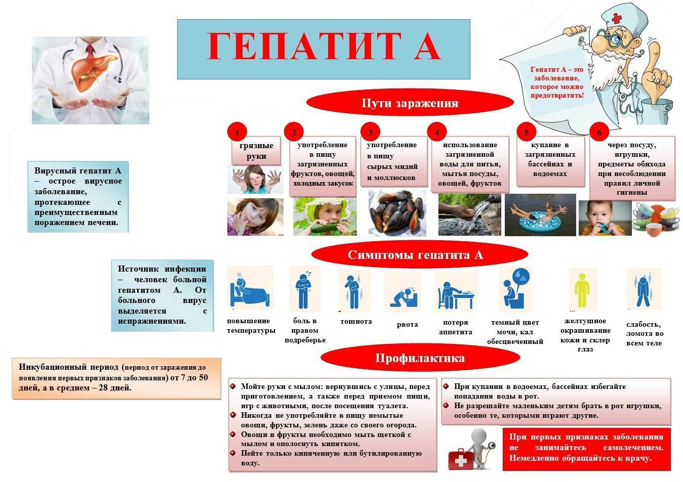 Гепатит А_2025