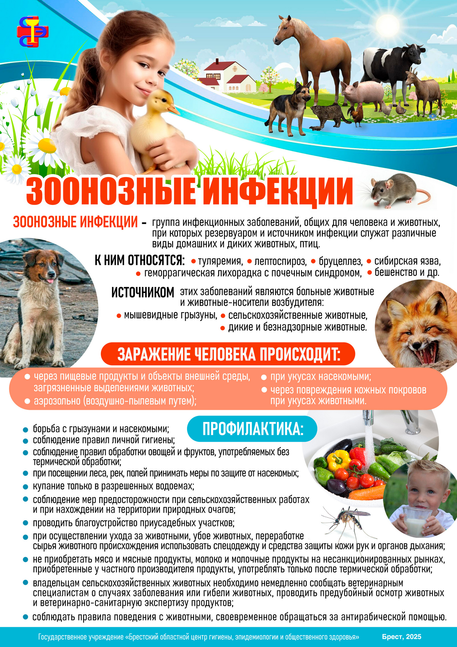 Зоонозные инфекции. 2025 Зоонозные инфекции. 2025
