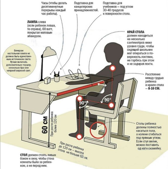 Эргономика рабочего места ребёнка 2025