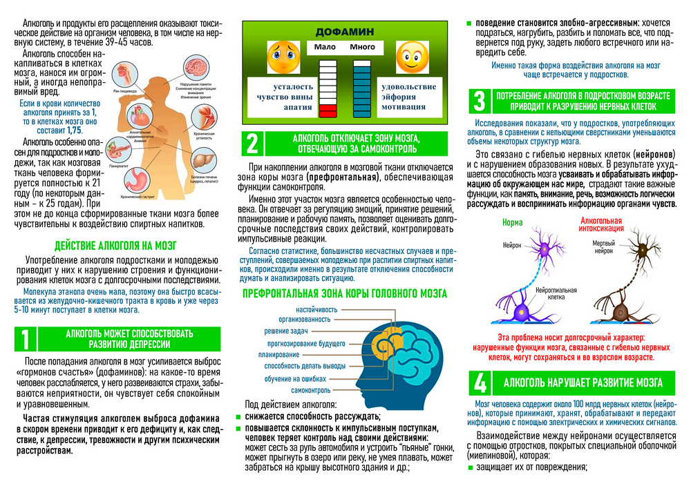 Алкоголь и здоровье 2025