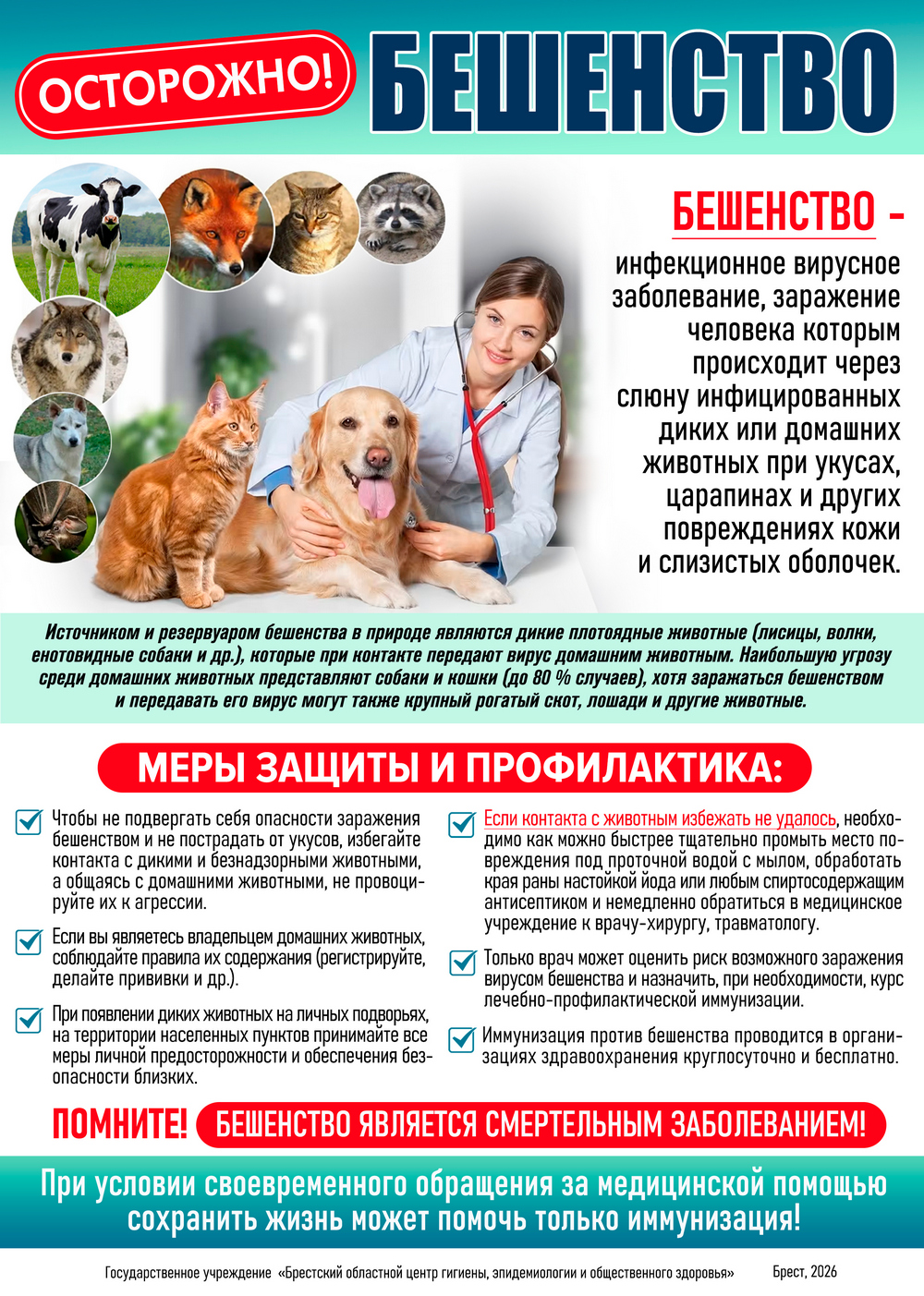 Осторожно! Бешенство! (Памятка) 2026