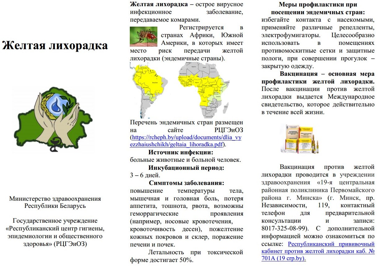 Желтая лихорадка памятка 2026